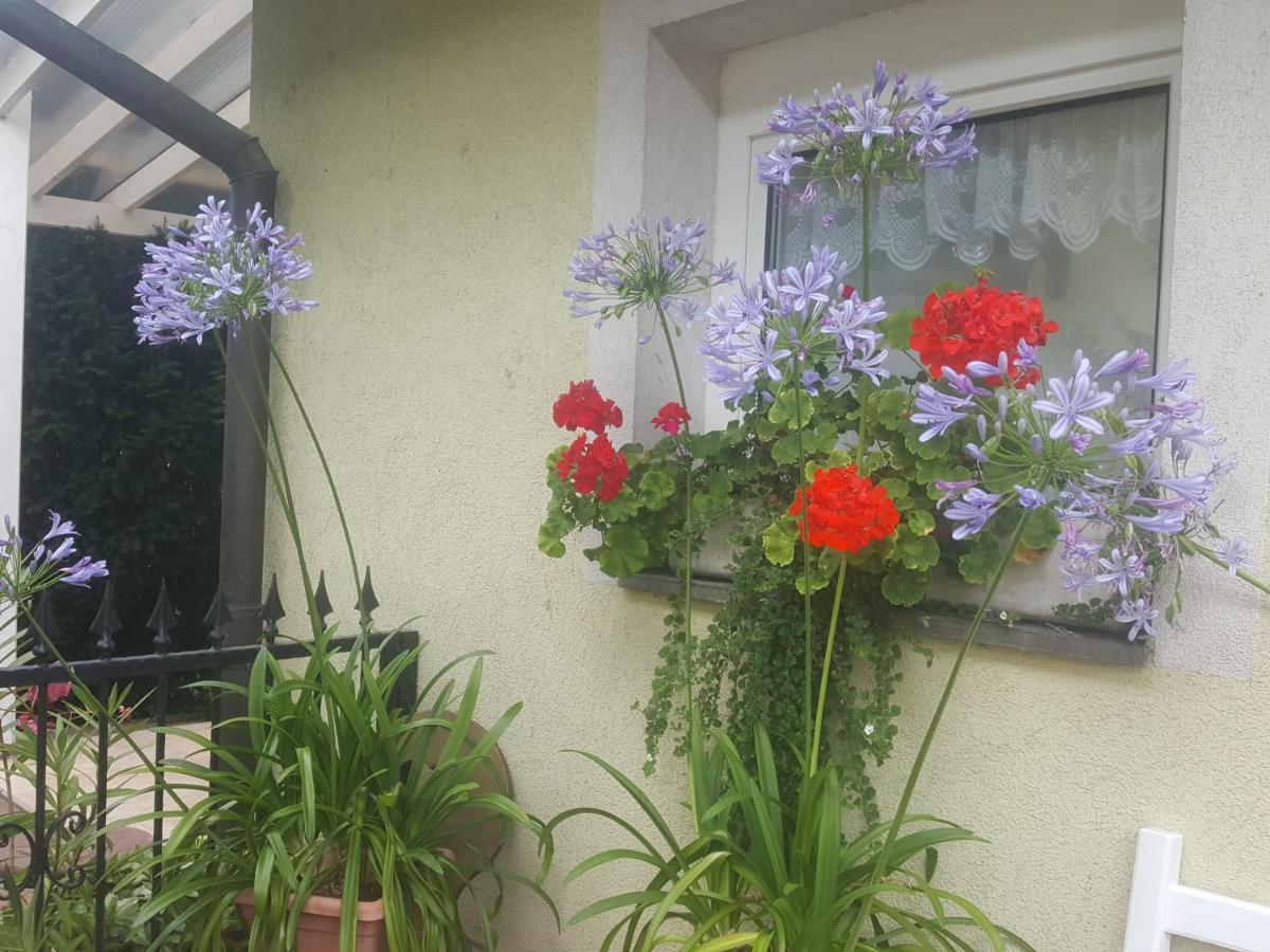 BalatonfůzfőTavirozsa公寓 外观 照片